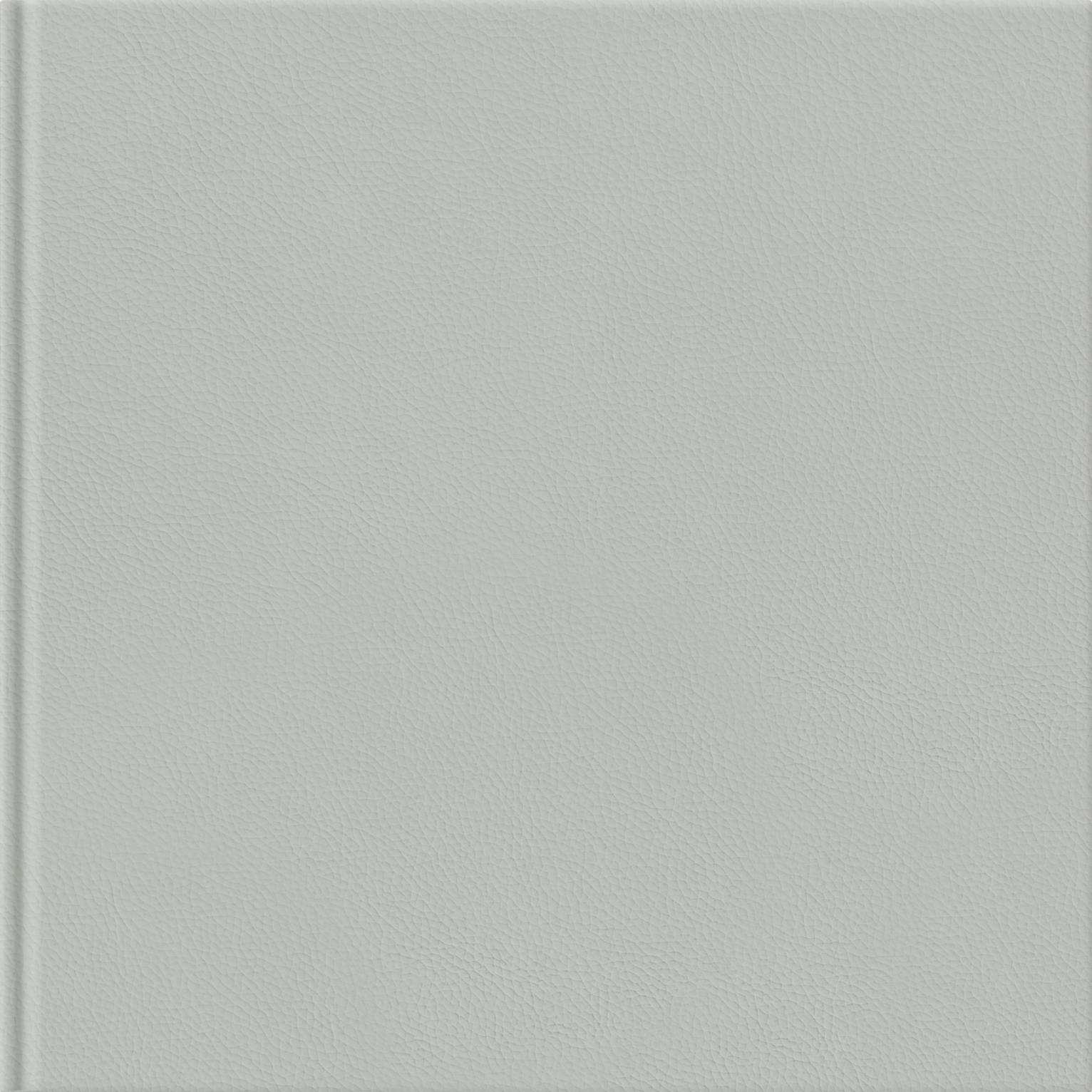 Silver Grey
